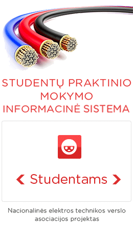 Studentų praktinio mokymo informacinė sistema, NETA projektas
